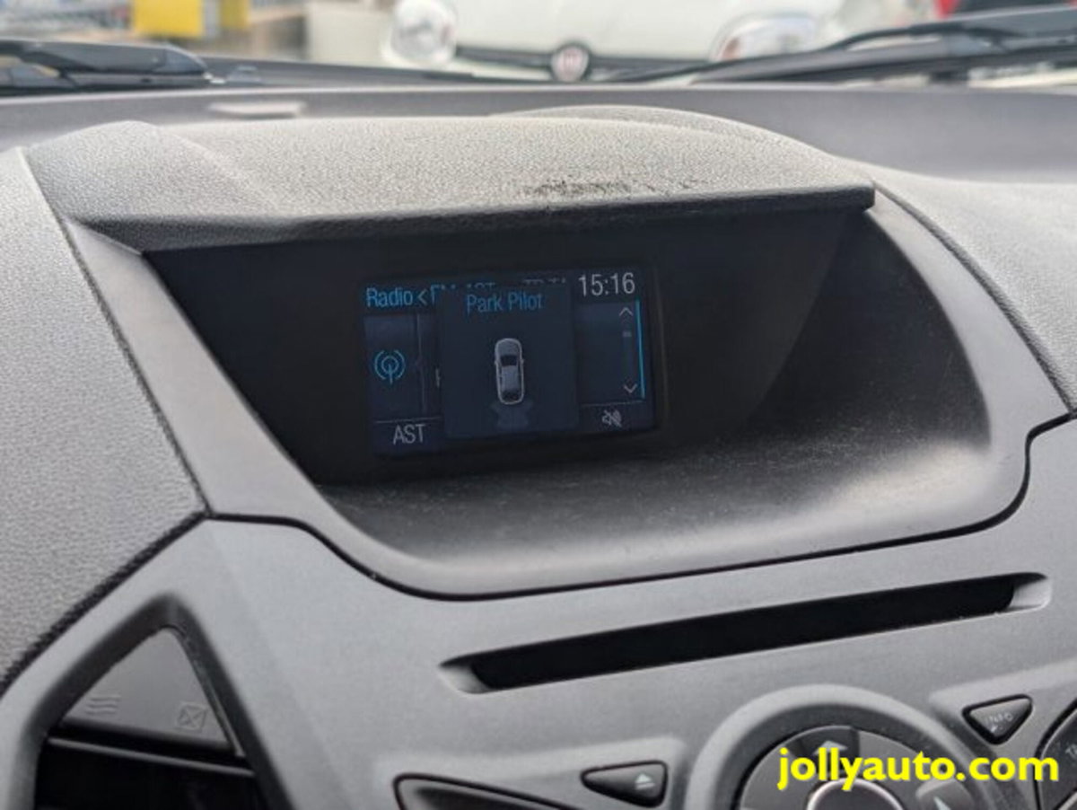 Ford EcoSport 1.5 TDCi 95 CV Titanium S (15)