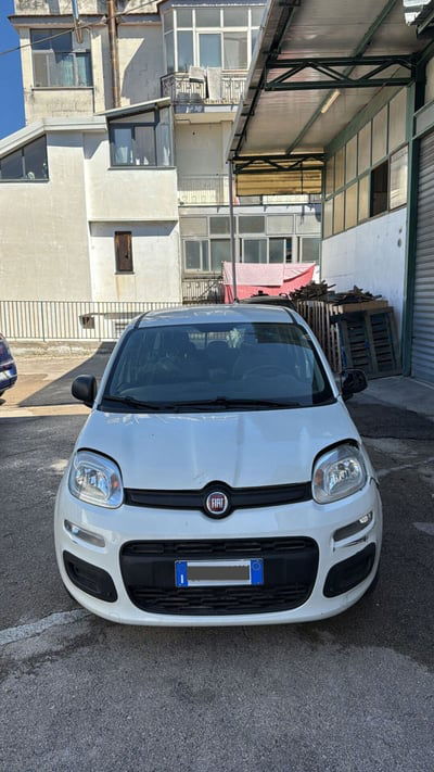 Fiat Panda Cross Cross 1.0 FireFly S&S Hybrid usata