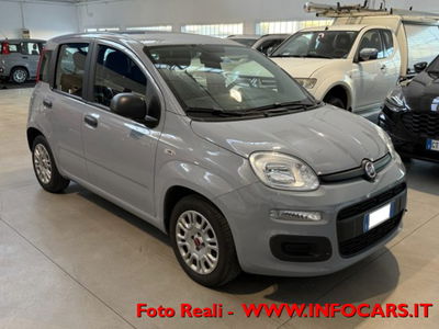 Fiat Panda 1.0 firefly hybrid s&s 70cv 5p.ti usata
