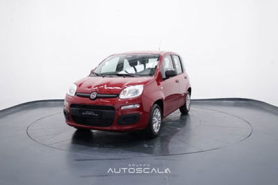 Fiat Panda 1.0 firefly hybrid s&s 70cv 5p.ti nuova
