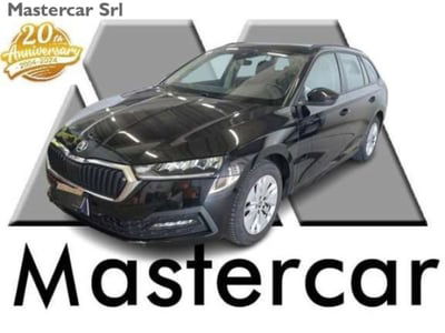 Skoda Octavia Station Wagon 2.0 tdi Executive 115cv usata