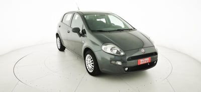 Fiat Punto 1.2 8V 5 porte Street usata