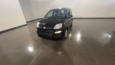 Fiat Panda Cross Cross 1.0 FireFly S&S Hybrid nuova