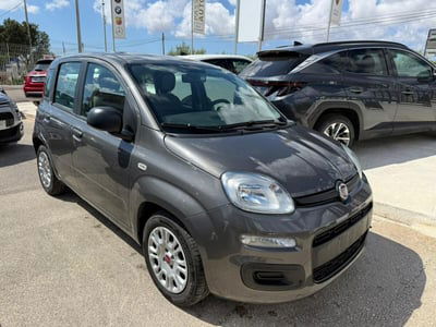 Fiat Panda Cross Cross 1.0 FireFly S&S Hybrid usata