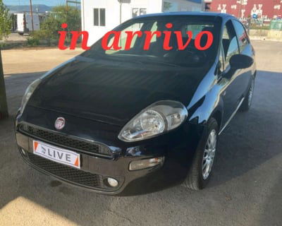 Fiat Punto 1.4 8V 5 porte Easypower Street usata