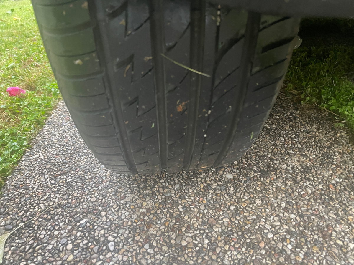 SEAT Arosa cat Stella (12)
