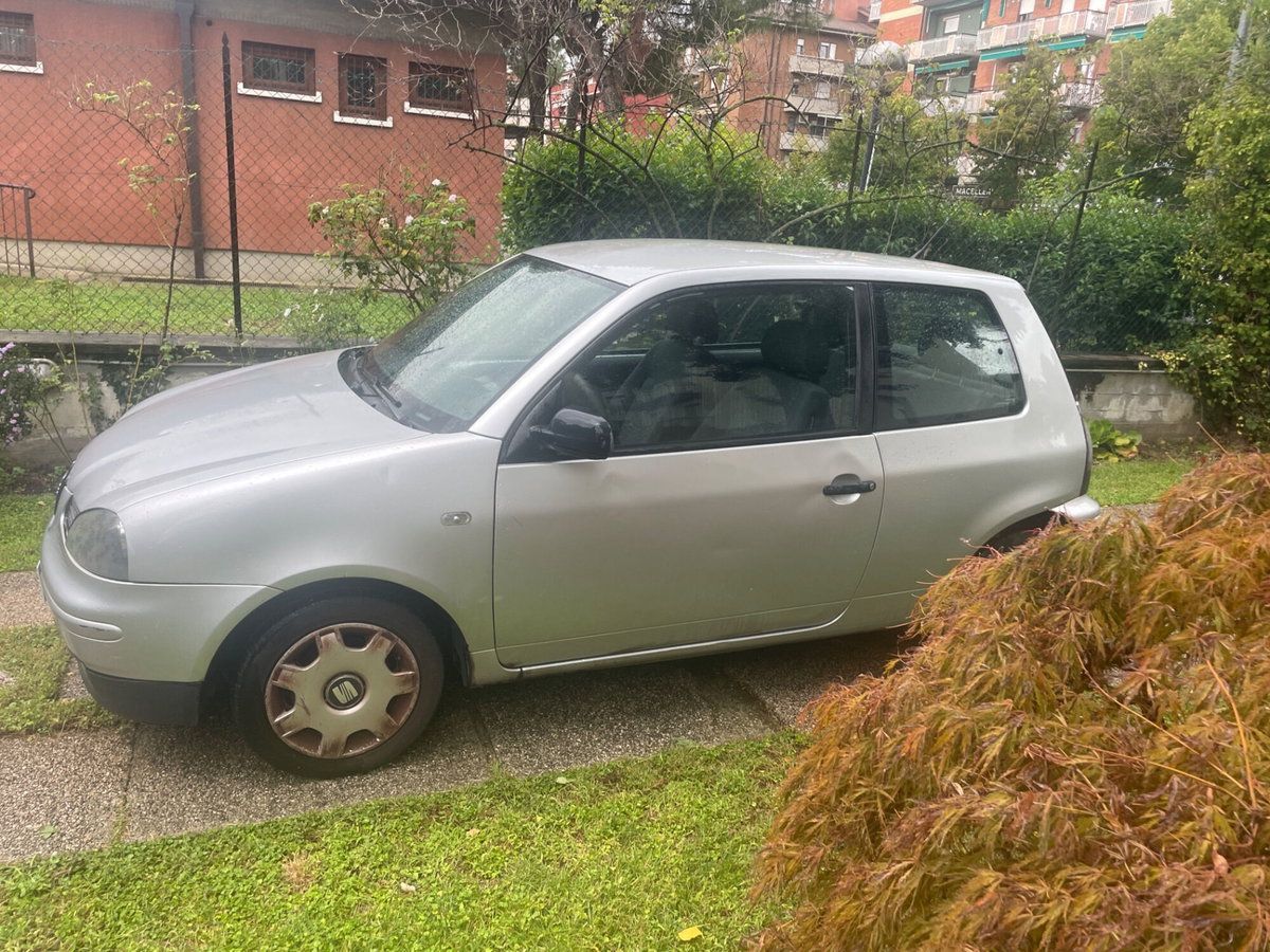 SEAT Arosa cat Stella (2)