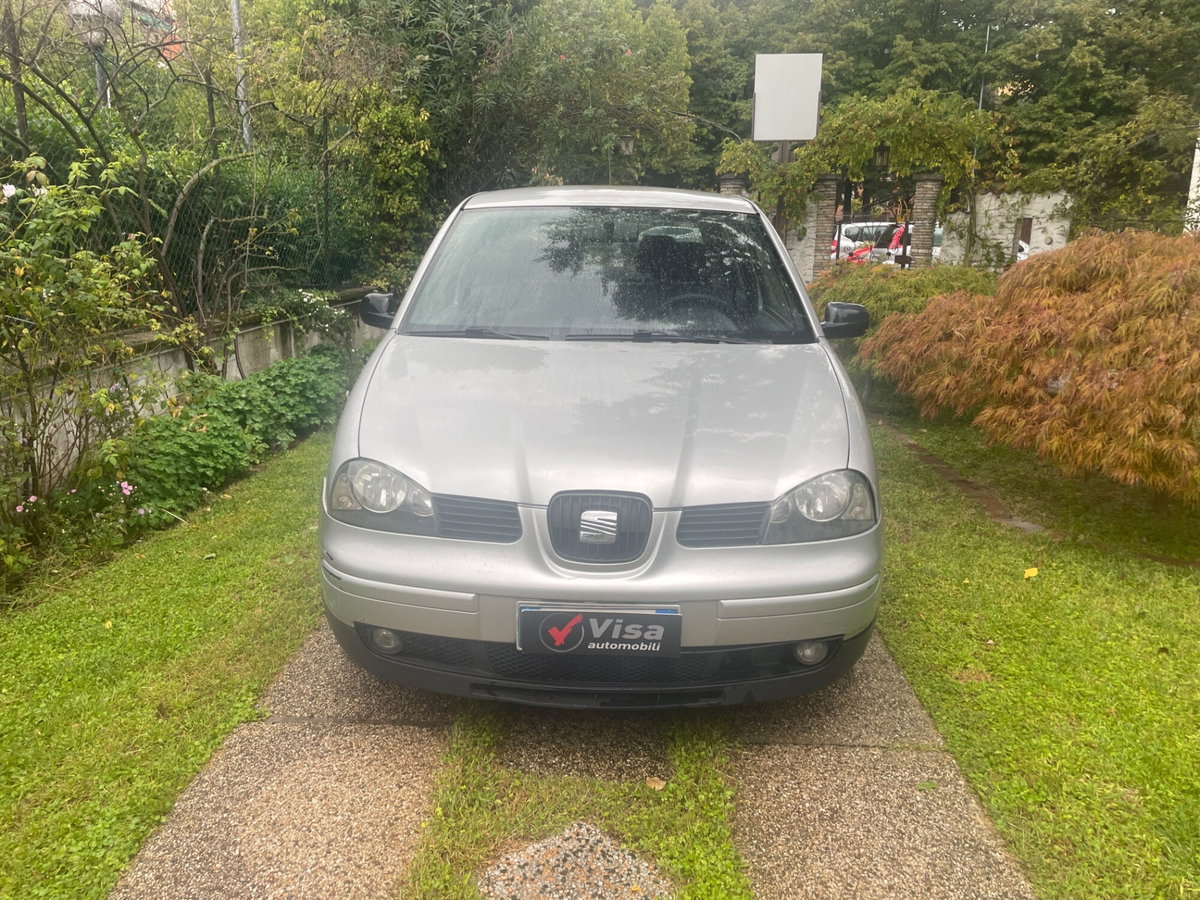 SEAT Arosa cat Stella (3)