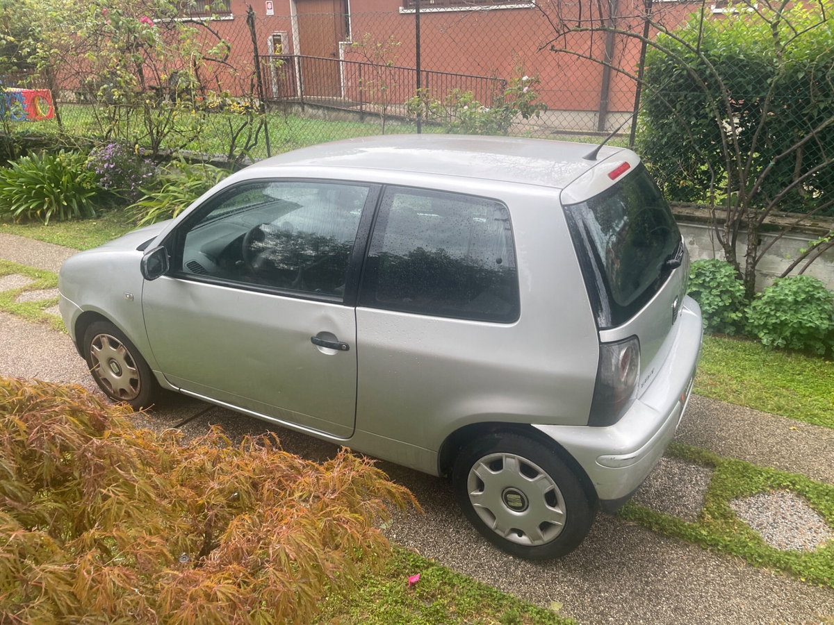 SEAT Arosa cat Stella (4)