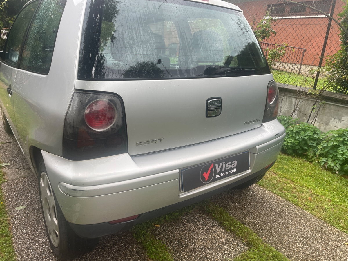 SEAT Arosa cat Stella (6)