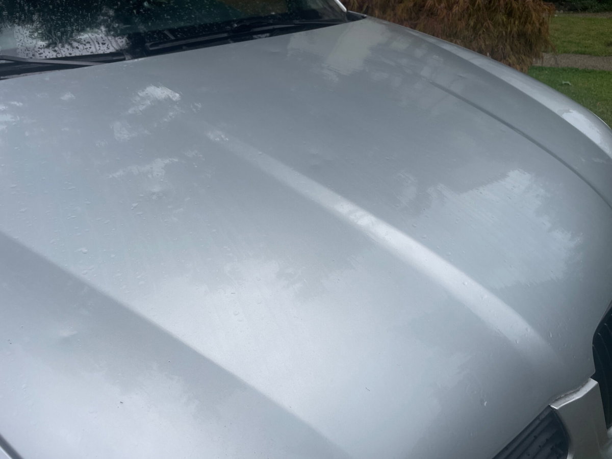 SEAT Arosa cat Stella (7)