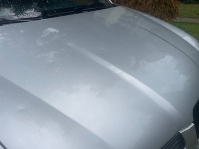 SEAT Arosa cat Stella (7)
