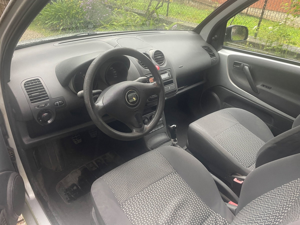 SEAT Arosa cat Stella (9)