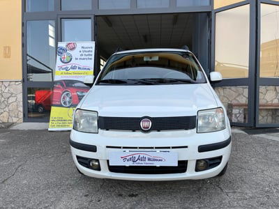 Fiat Panda 1.3 MJT 16V DPF Dynamic usata
