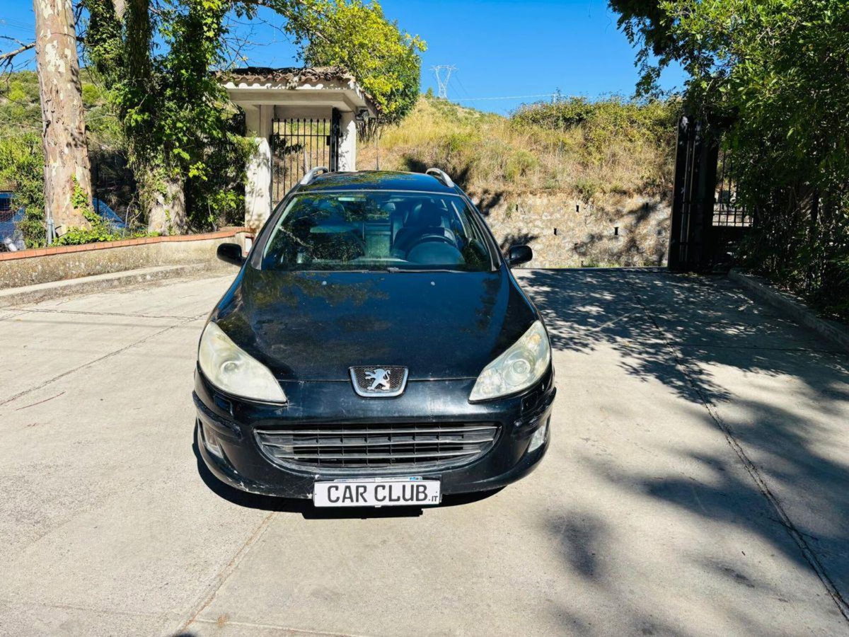 Peugeot 407 SW 2.2 HDi Ciel Tecno (2)