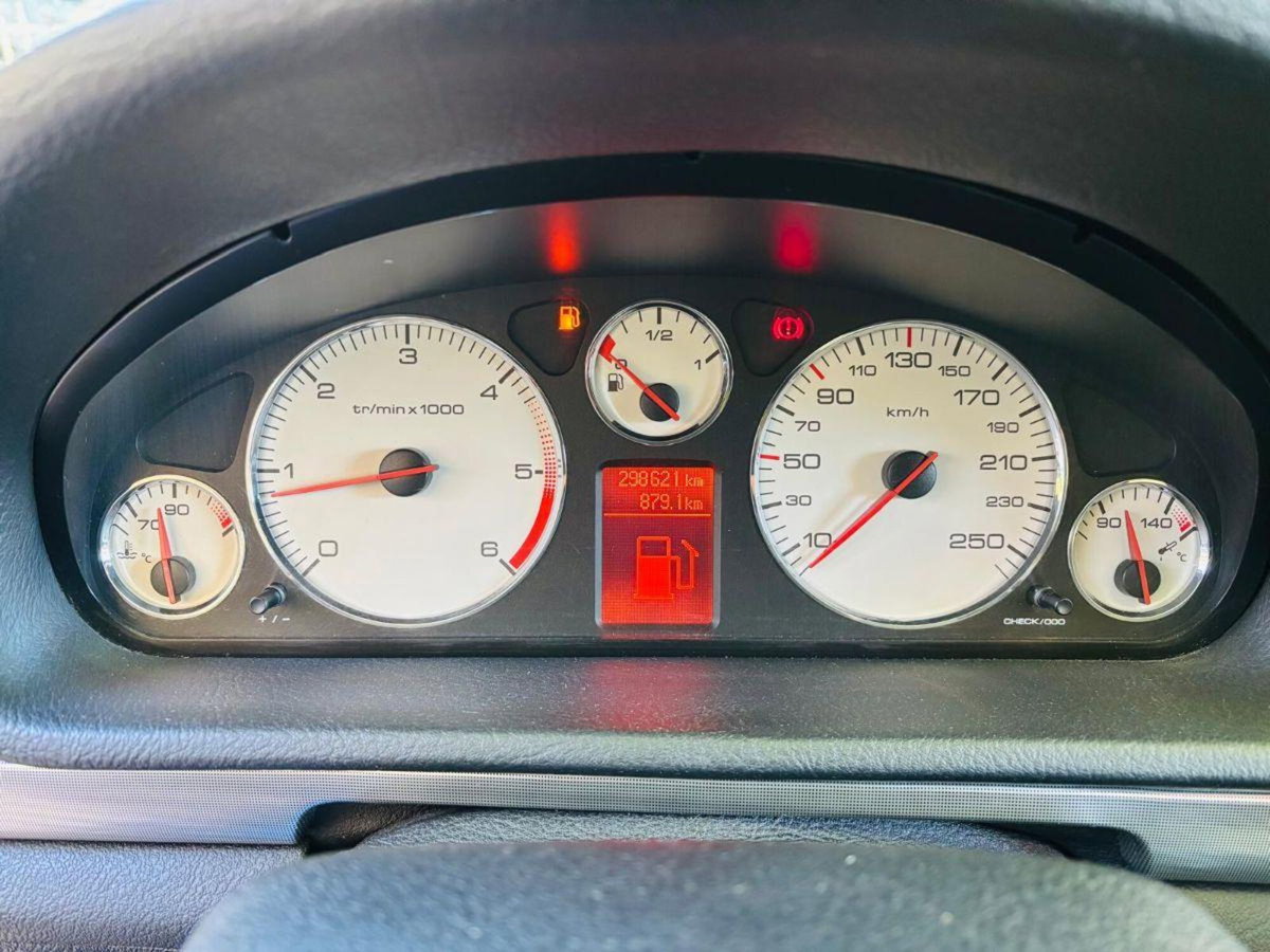 Peugeot 407 SW 2.2 HDi Ciel Tecno (20)