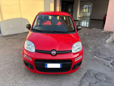 Fiat Panda 1.0 FireFly S&S Hybrid Easy usata