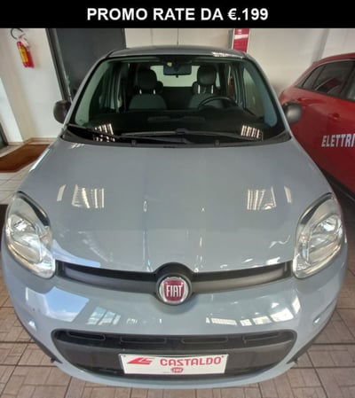 Fiat Panda 1.2 Easy usata