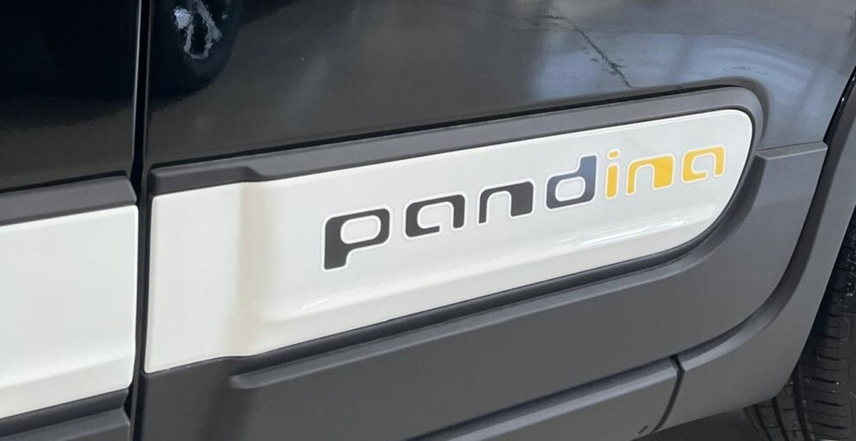 Fiat Panda Cross Cross 1.0 FireFly S&S Hybrid (11)