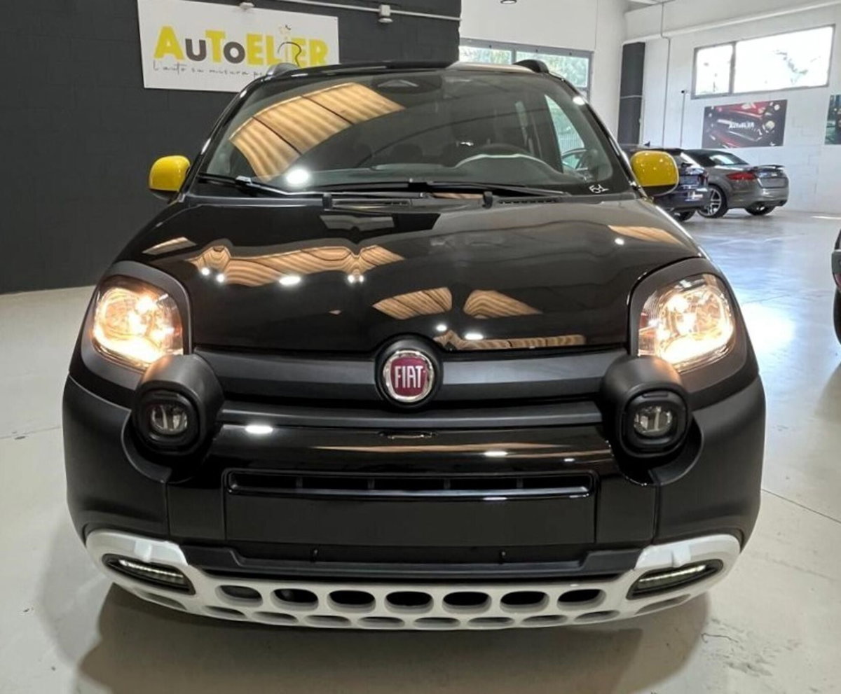 Fiat Panda Cross Cross 1.0 FireFly S&S Hybrid (4)