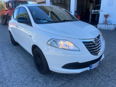 Lancia Ypsilon 1.2 69 CV 5 porte Platinum usata