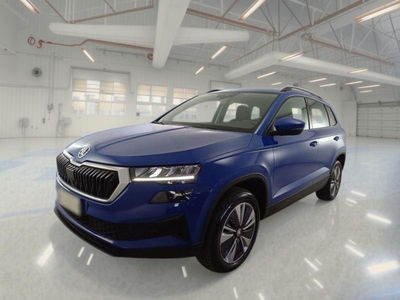 Skoda Karoq 2.0 TDI EVO SCR 115 CV DSG Executive usata