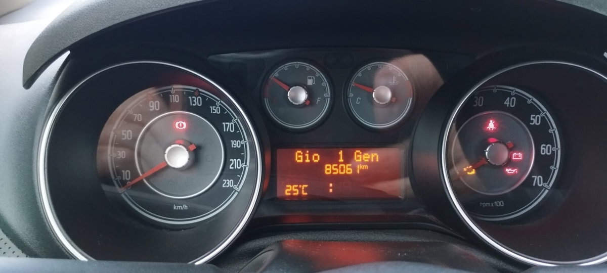 Fiat Punto Evo 1.2 5 porte S&S Dynamic (12)