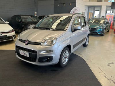 Fiat Panda 1.2 Lounge usata