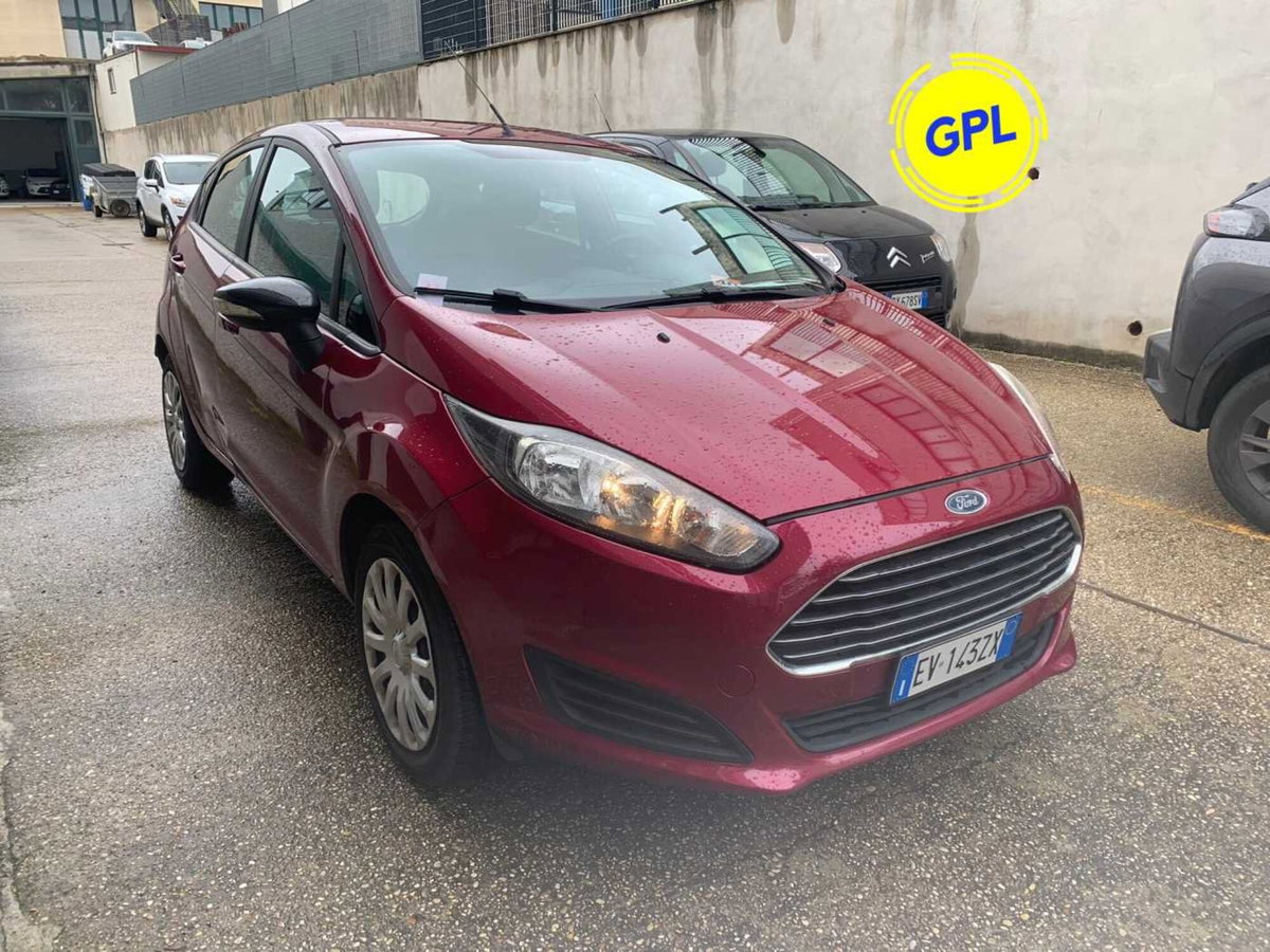 Ford Fiesta 1.4 5 porte Bz.- GPL Titanium (3)