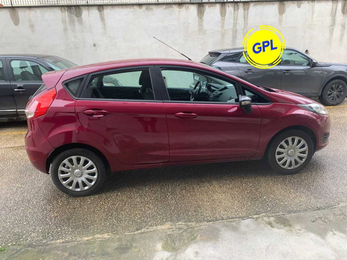 Ford Fiesta 1.4 5 porte Bz.- GPL Titanium (6)