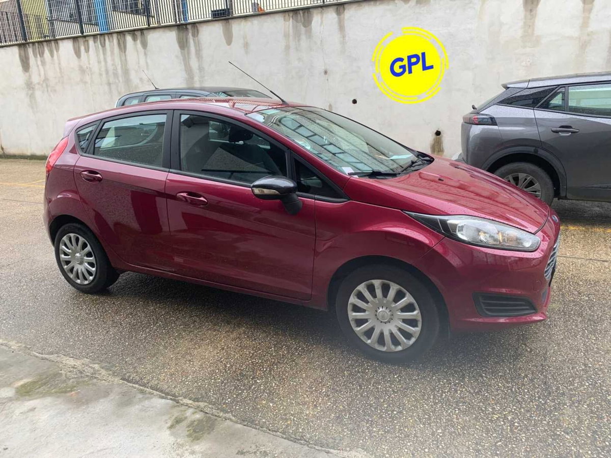 Ford Fiesta 1.4 5 porte Bz.- GPL Titanium (9)