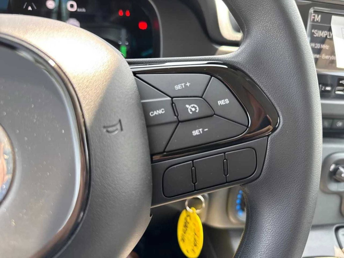 Fiat Panda Cross Cross 1.0 FireFly S&S Hybrid (11)