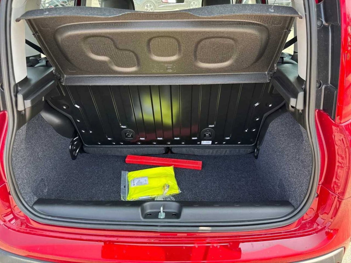 Fiat Panda Cross Cross 1.0 FireFly S&S Hybrid (17)