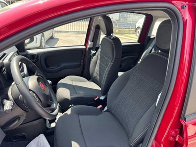 Fiat Panda Cross Cross 1.0 FireFly S&S Hybrid (8)