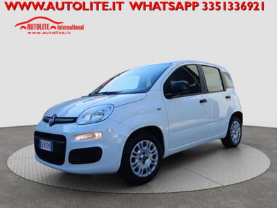 Fiat Panda 1.2 Easy usata