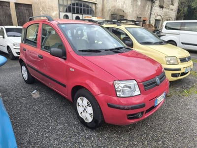 Fiat Panda 1.2 Dynamic usata