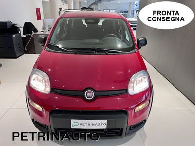 Fiat Panda 1.0 firefly hybrid s&s 70cv 5p.ti nuova