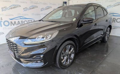 Ford Kuga 1.5 EcoBlue 120 CV 2WD ST-Line usata
