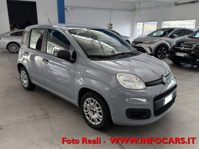 Fiat Panda 1.0 firefly hybrid s&s 70cv 5p.ti usata