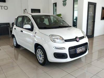 Fiat Panda 1.2 Pandazzurri usata