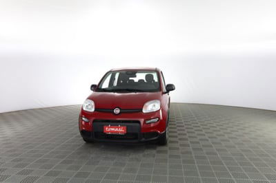 Fiat Panda Cross Cross 1.0 FireFly S&S Hybrid usata