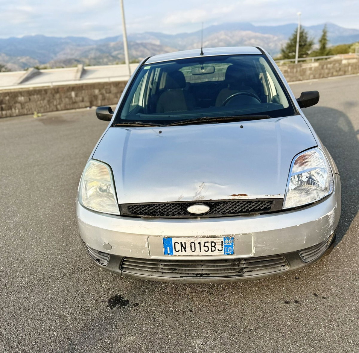Ford Fiesta 1.4 TDCi 5p. Ambiente (8)