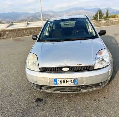 Ford Fiesta 1.4 TDCi 5p. Ambiente (8)