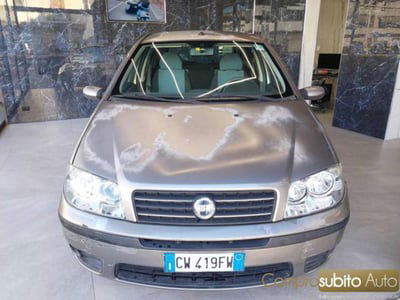 Fiat Punto 1.2 5 porte Active usata