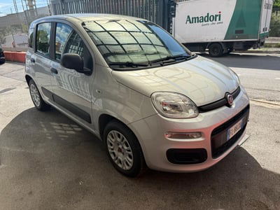 Fiat Panda 1.2 Easy usata
