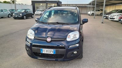 Fiat Panda 1.2 Easy usata