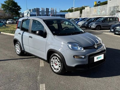 Fiat Panda 1.0 FireFly S&S Hybrid City Cross usata