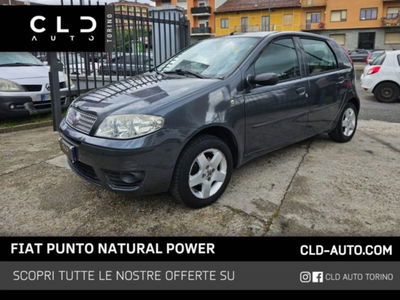 Fiat Punto Classic 1.2 5 porte Natural Power Active usata