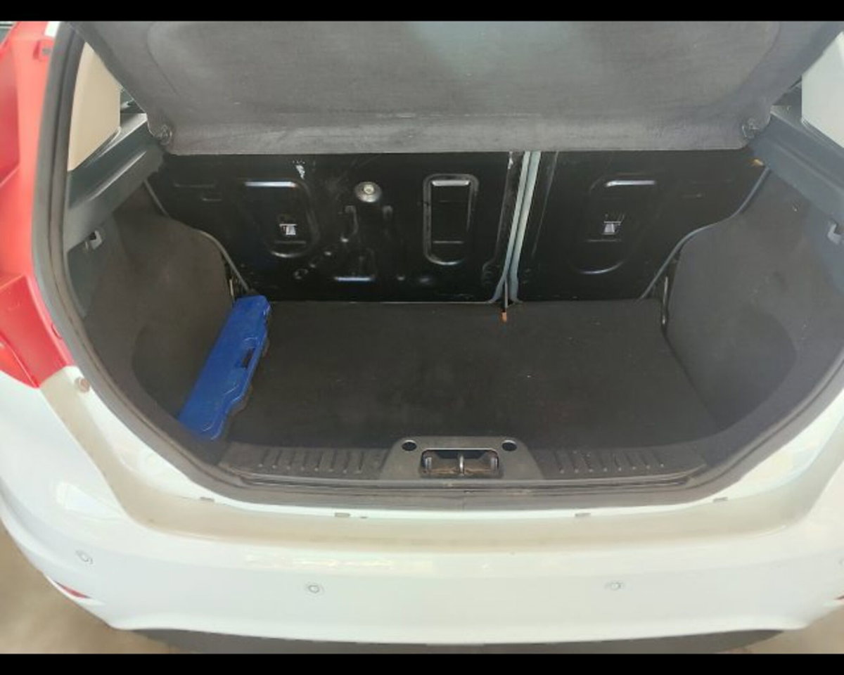 Ford Fiesta 1.4 5 porte Bz.- GPL Titanium (19)