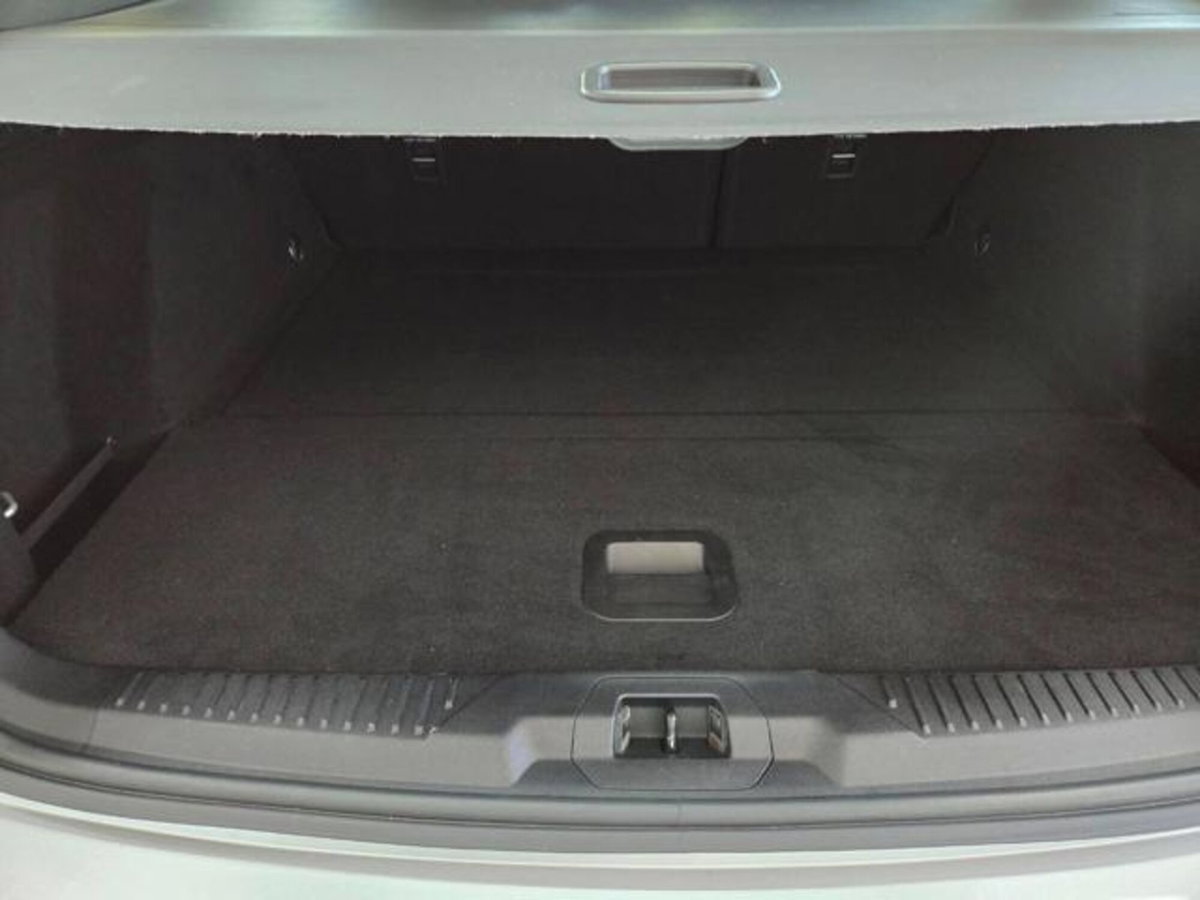 Ford Focus Station Wagon 1.5 EcoBlue 120 CV automatico SW Business (3)